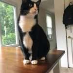 Luca: look at me, not so fat anymore!