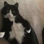 Luca showing his flabs
